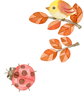 私たちについて